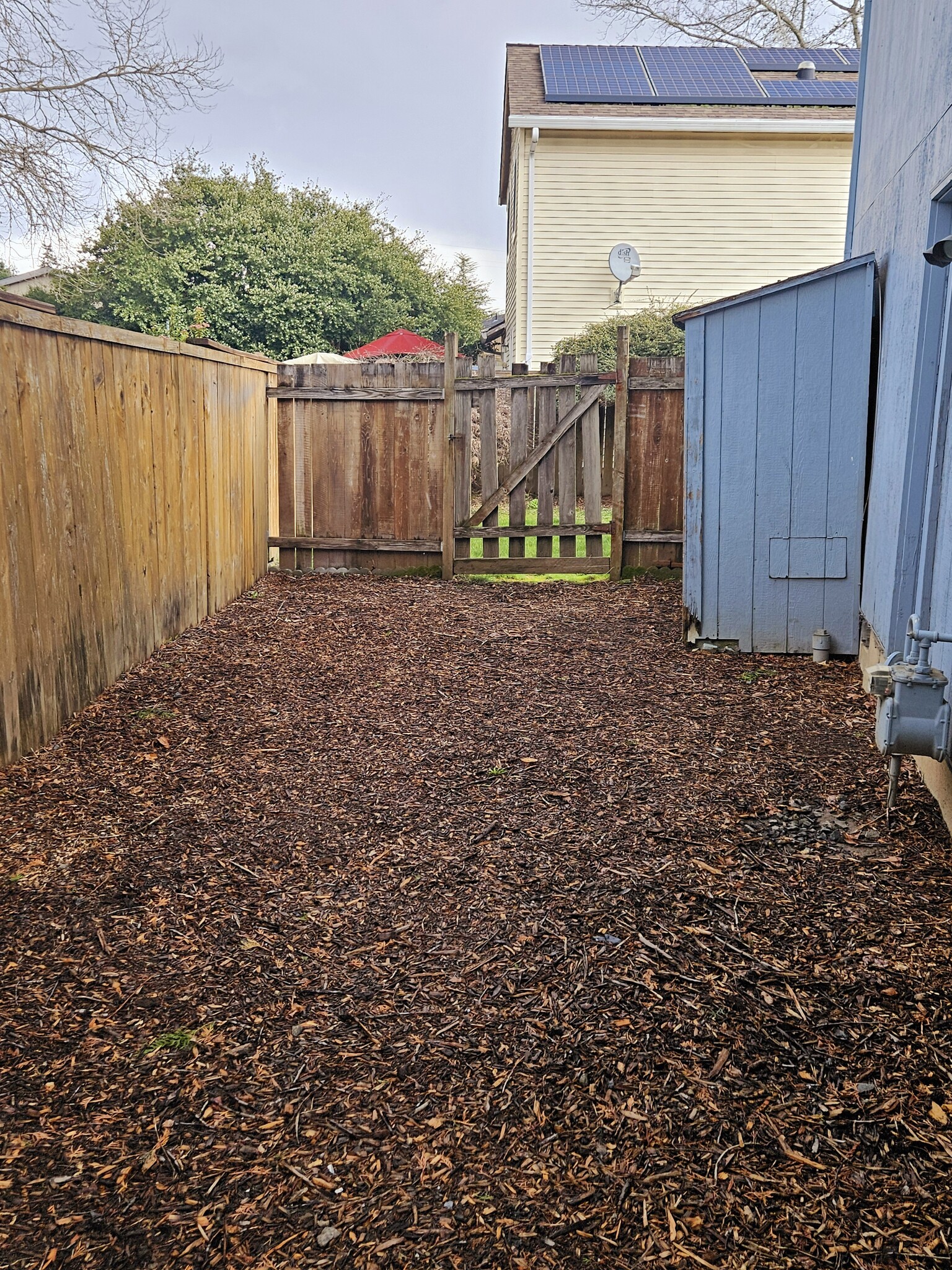 Side Yard w/Shed - 19561 SW Limestone Ct