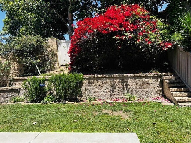 Building Photo - 6033 Paseo Hermosa