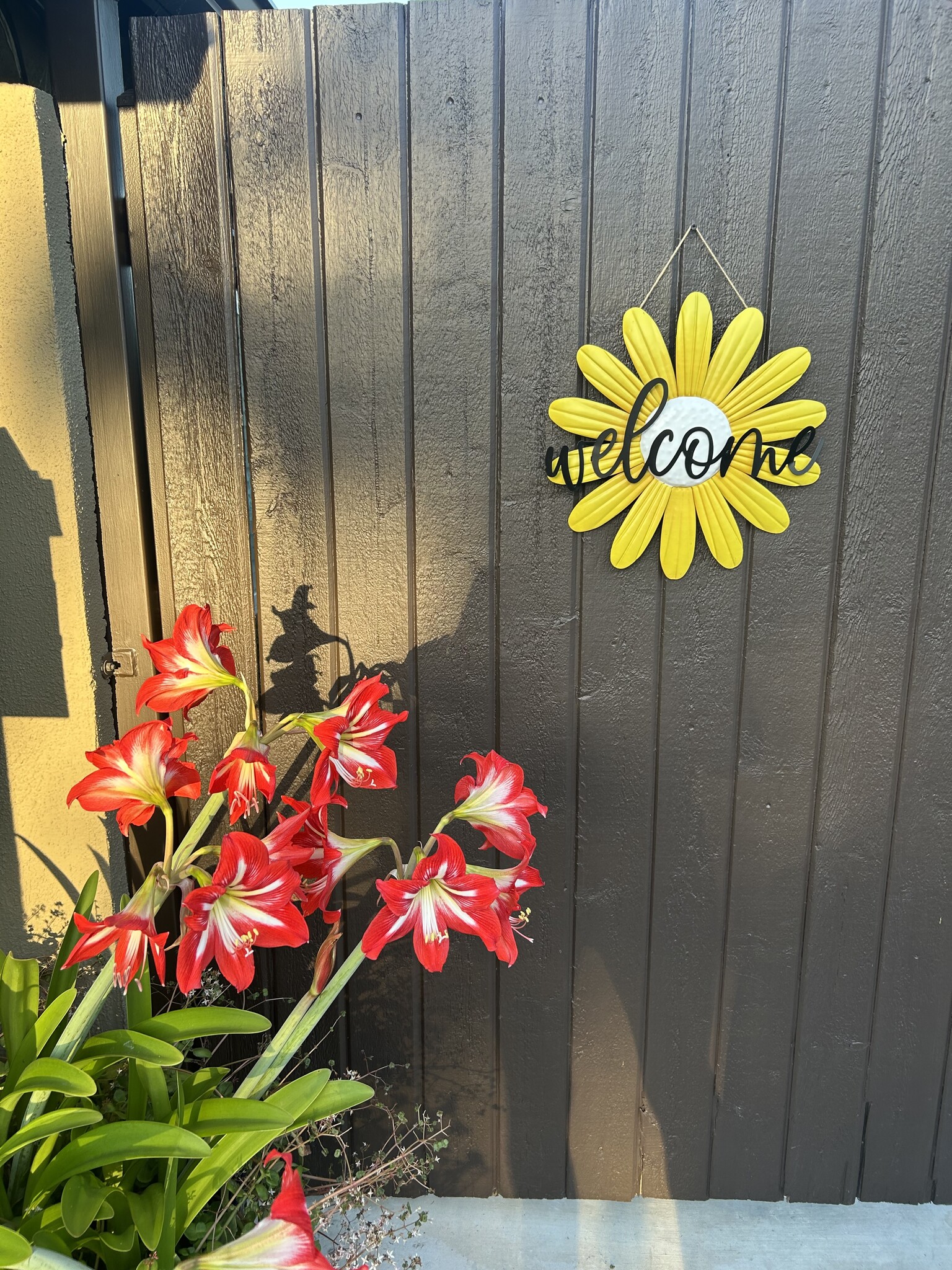 gate to your private entrance - 8208 Truxton Ave