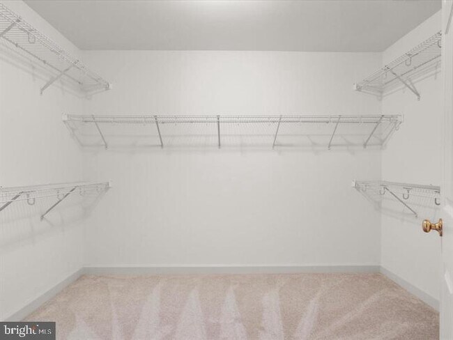 Building Photo - 7980 Vigne Ct