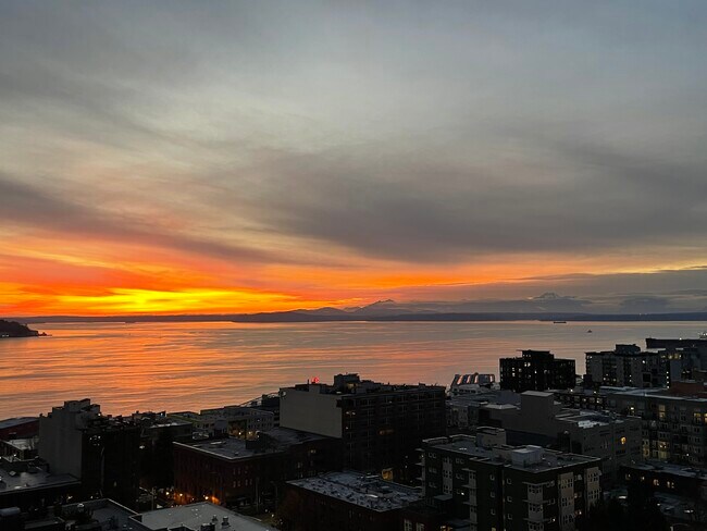 Sunset view from Home - 2201 3rd Ave