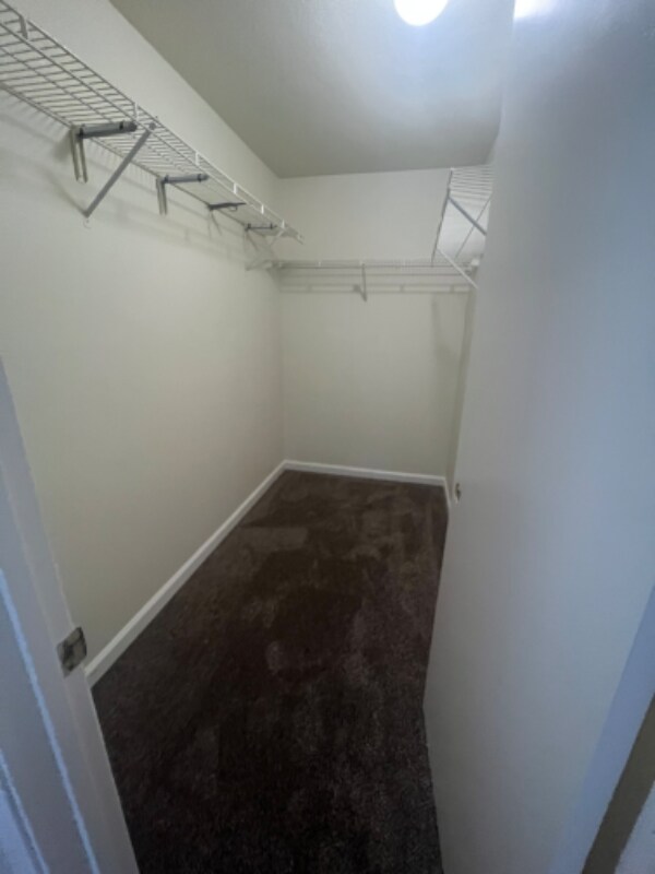 Building Photo - 3348 Newmark Dr