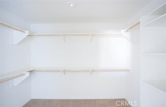 Building Photo - 5336 Cormorant Ct