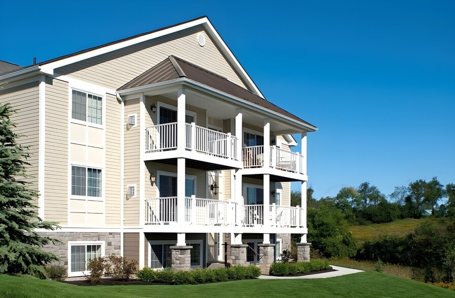 Primary Photo - The Woods