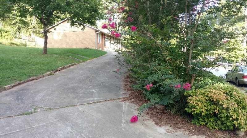 Building Photo - 7382 Ovis Ln