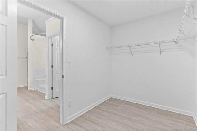 Building Photo - 1893 Tulip Petal Rd