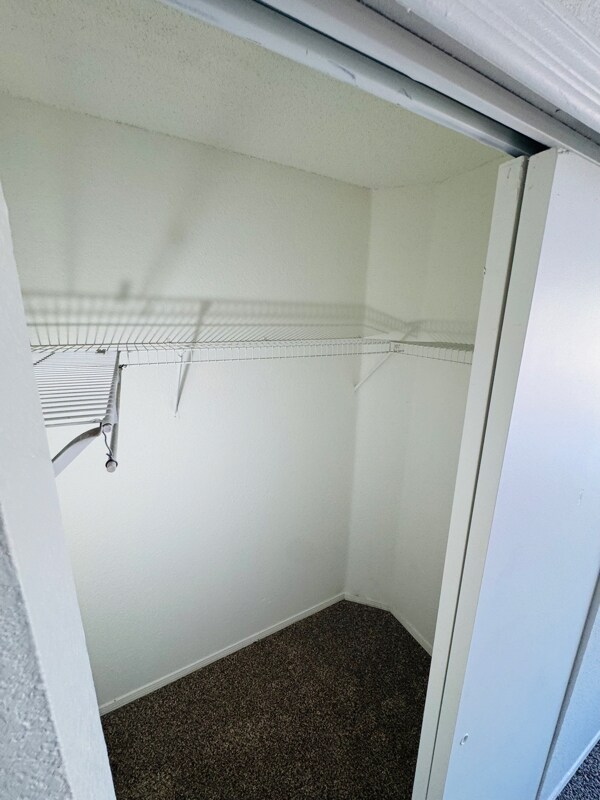 Building Photo - 1141 Ranger St