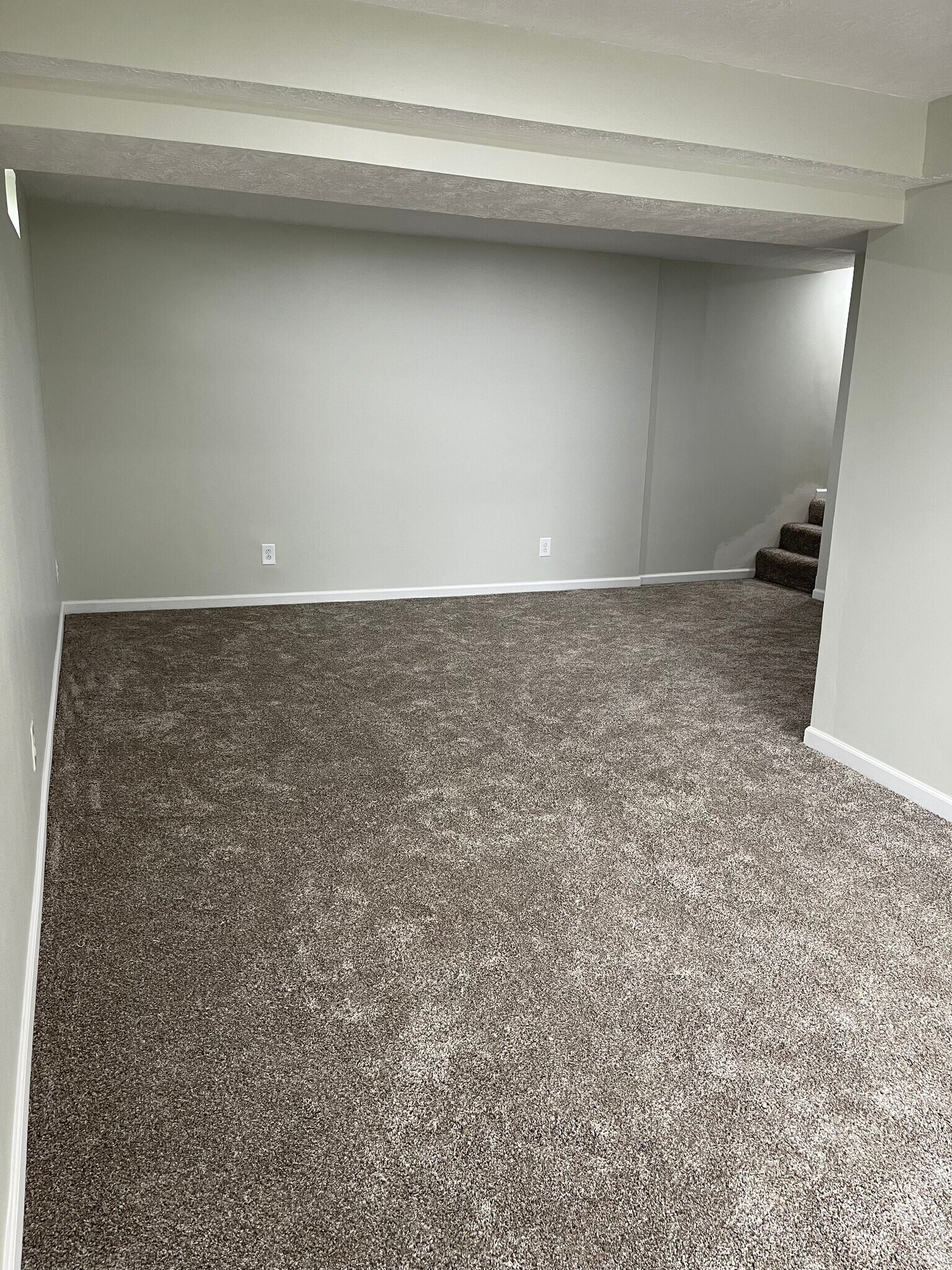 Basement - 2440 Lantz Rd