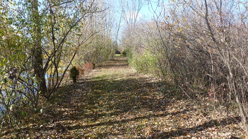 Building Photo - 11871 21 Mile Rd