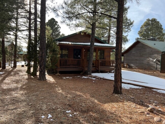 Building Photo - 2689 Palomino Trail