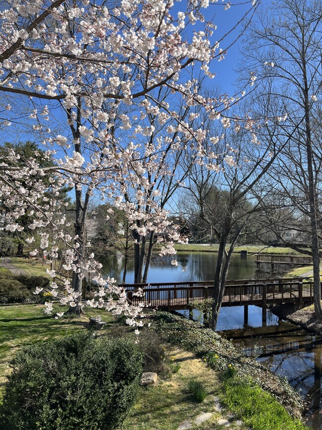 Pond views w/ access to miles of walking trails - 6127 Winter Park Dr