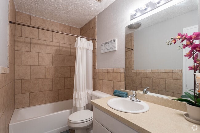 2BR 1BA - 950 SF - San Remy