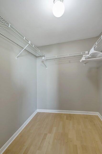 Building Photo - 950 Lavers Cir