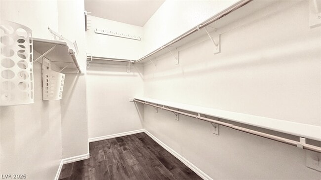 Building Photo - 3212 Wisteria Tree St