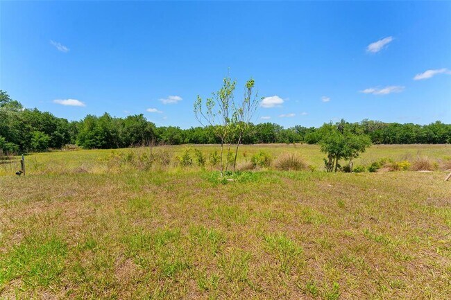 Building Photo - 33537 Apricot Tree Ct