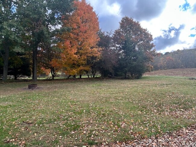 Building Photo - 2 bedroom 1 bath single family home