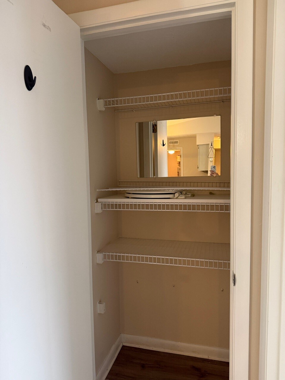 Closet 2 - 533 Aspen Glen Dr