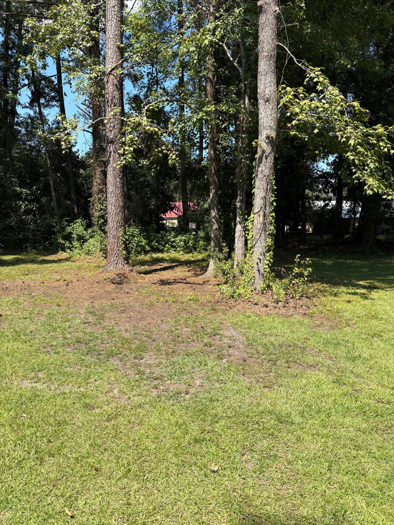 Building Photo - 4060 Whisker Pole