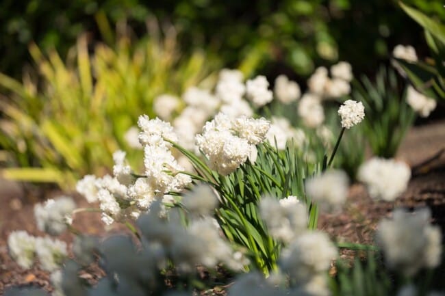 Building Photo - 10 Meadow Ln