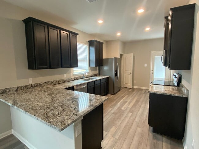 Building Photo - The newly built 4 bedroom and 2 bath home ...