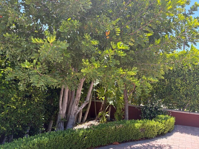 Building Photo - Spectacular-Remodeled 4-Bedroom Home with Pool, Spa, + 600 sqft Bonus Space in lovely Sylmar neig...