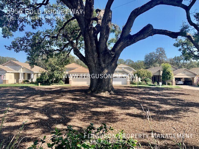 Building Photo - 5956 Gold Nugget Way