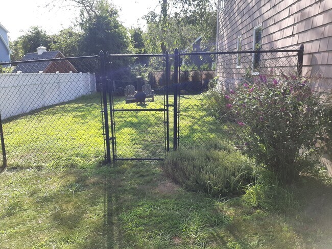 Fenced in yard - 43 Maywood Rd