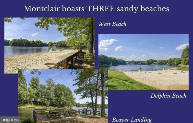 Building Photo - 15427 Beachwater Ct