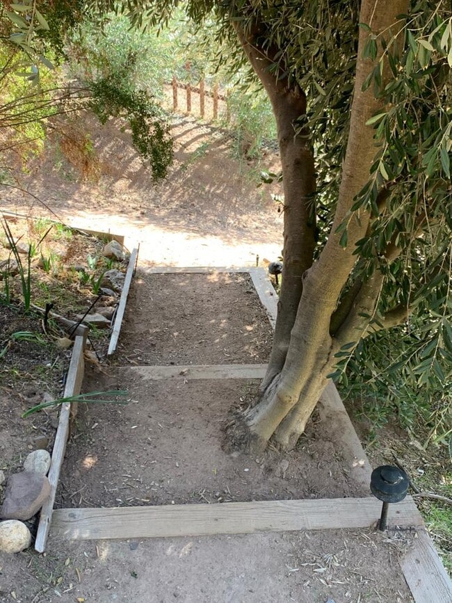 Entrance Path - 23273 Red Rock Rd
