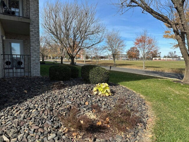 Building Photo - 1108 Dolphin Ave