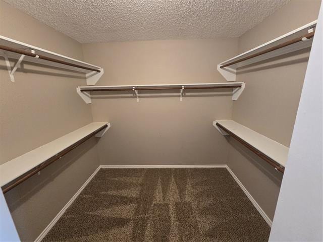 Building Photo - 2609 Classic Ct E