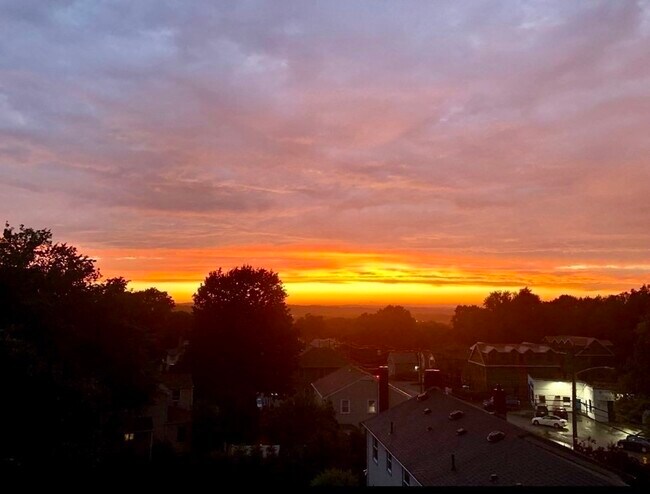 Building Photo - 308 Quarry St