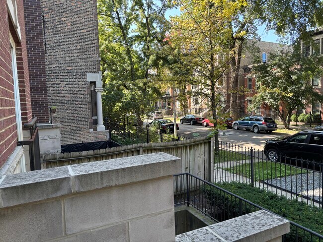 Tree lined street - 1241 N Maplewood Ave