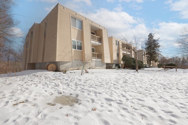 Building Photo - 529 Fox Run Ln