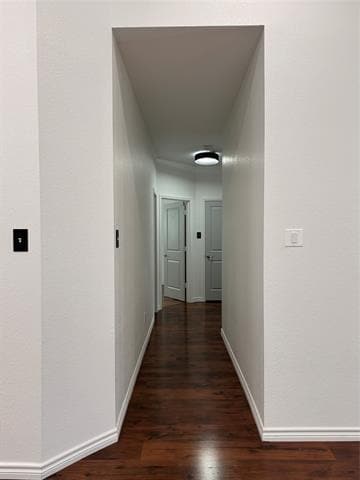 Building Photo - 12424 Ocean Spray Dr