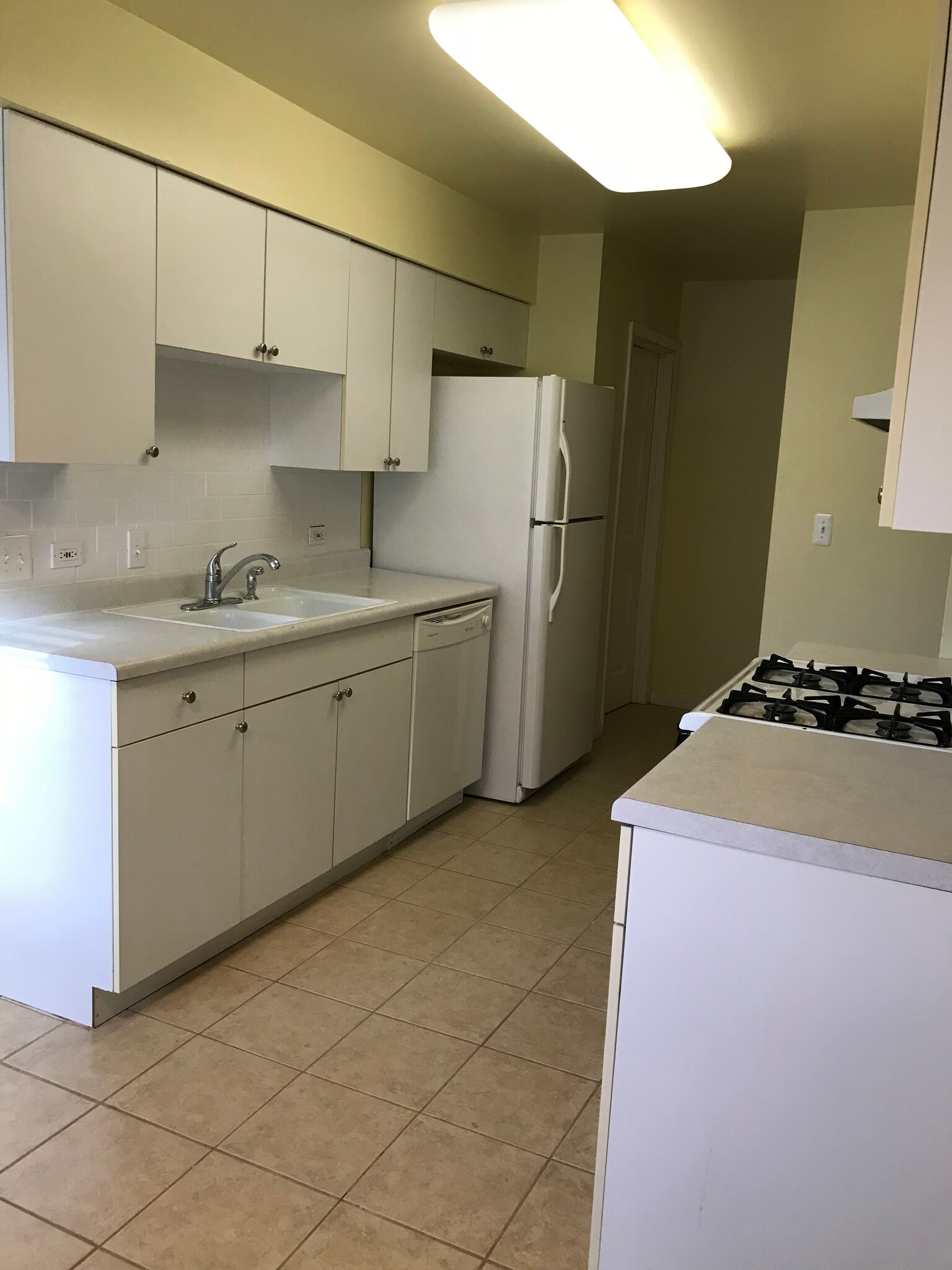Kitchen, dishwasher, gas stove - 420 Tanglewood Ct