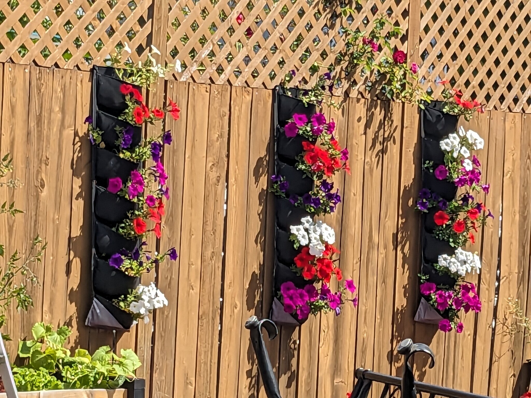 Back yard summer - 24028 25th Ave S