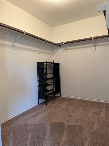 Building Photo - 2258 Bryant Ln