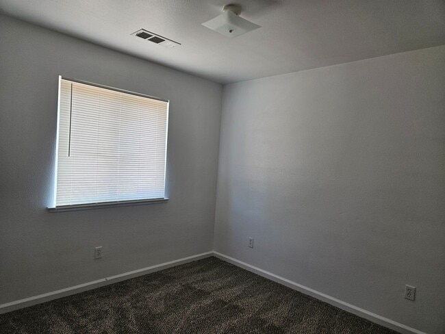 Building Photo - 2042 Romolo St