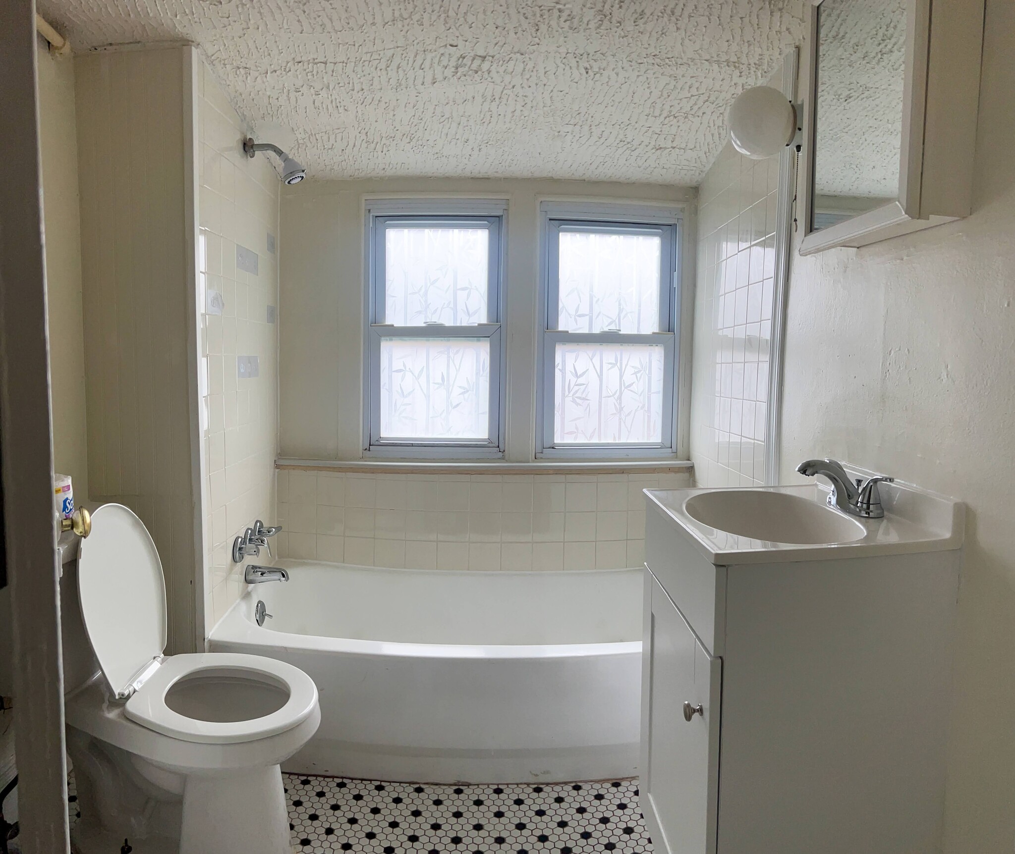 Bathroom - 123 E Washington Ln