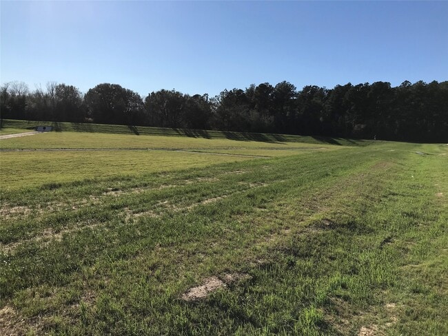 Building Photo - 21618 Lemon Beebrush Ln