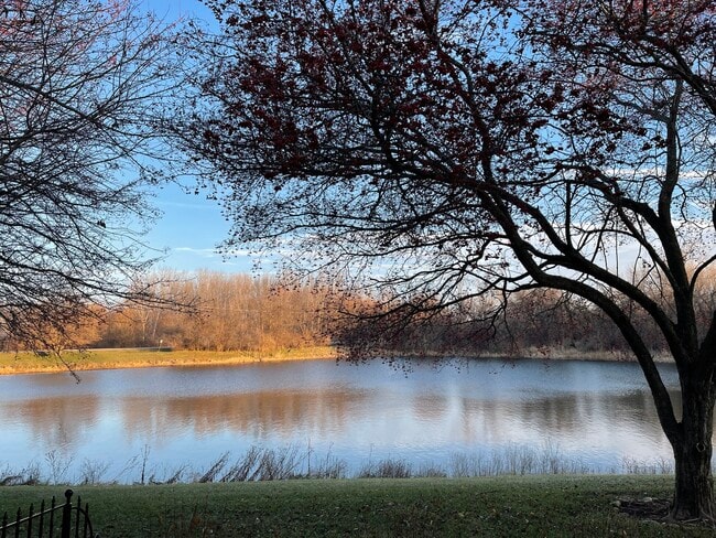 Building Photo - 13841 Cambridge Cir