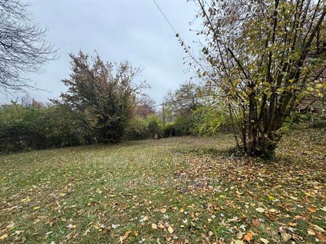 Building Photo - 8000 Noel Ct