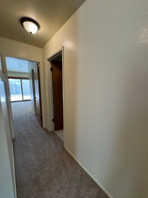 Hallway to Primary Bedroom - 398 Corrida Dr
