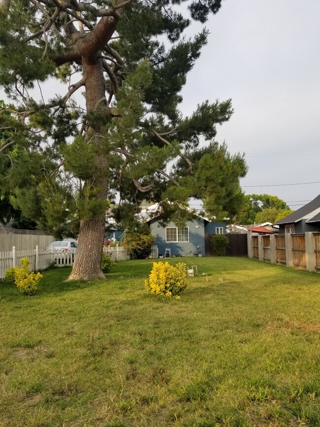 Main house - 1100 N Maple St