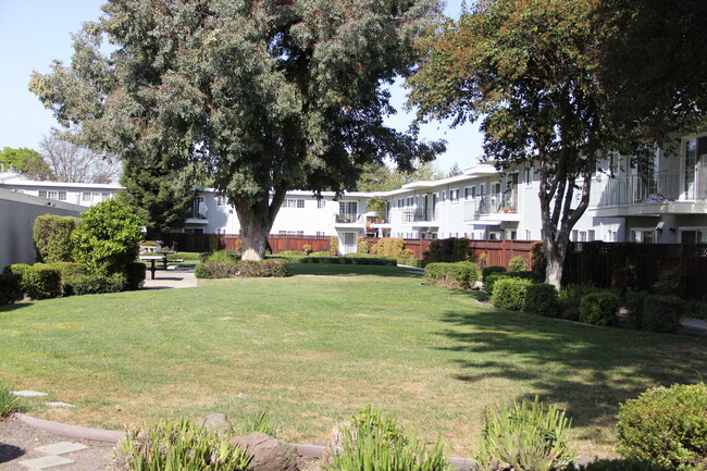 Main Quad - 395 Sierra Vista Ave