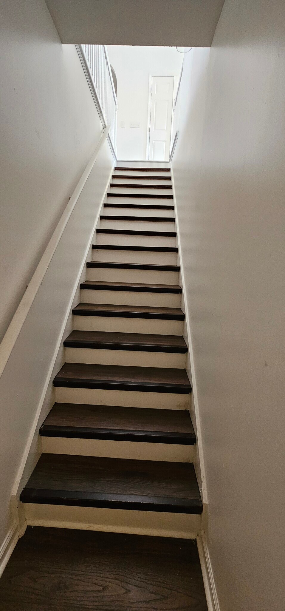 Building Photo - 5109 Marie Cir