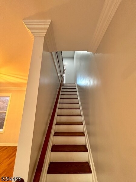 Building Photo - 47 Burnet St