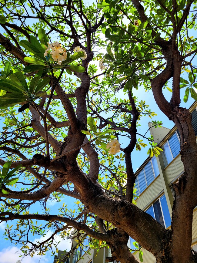 Building Photo - 111 Kahului Beach Rd