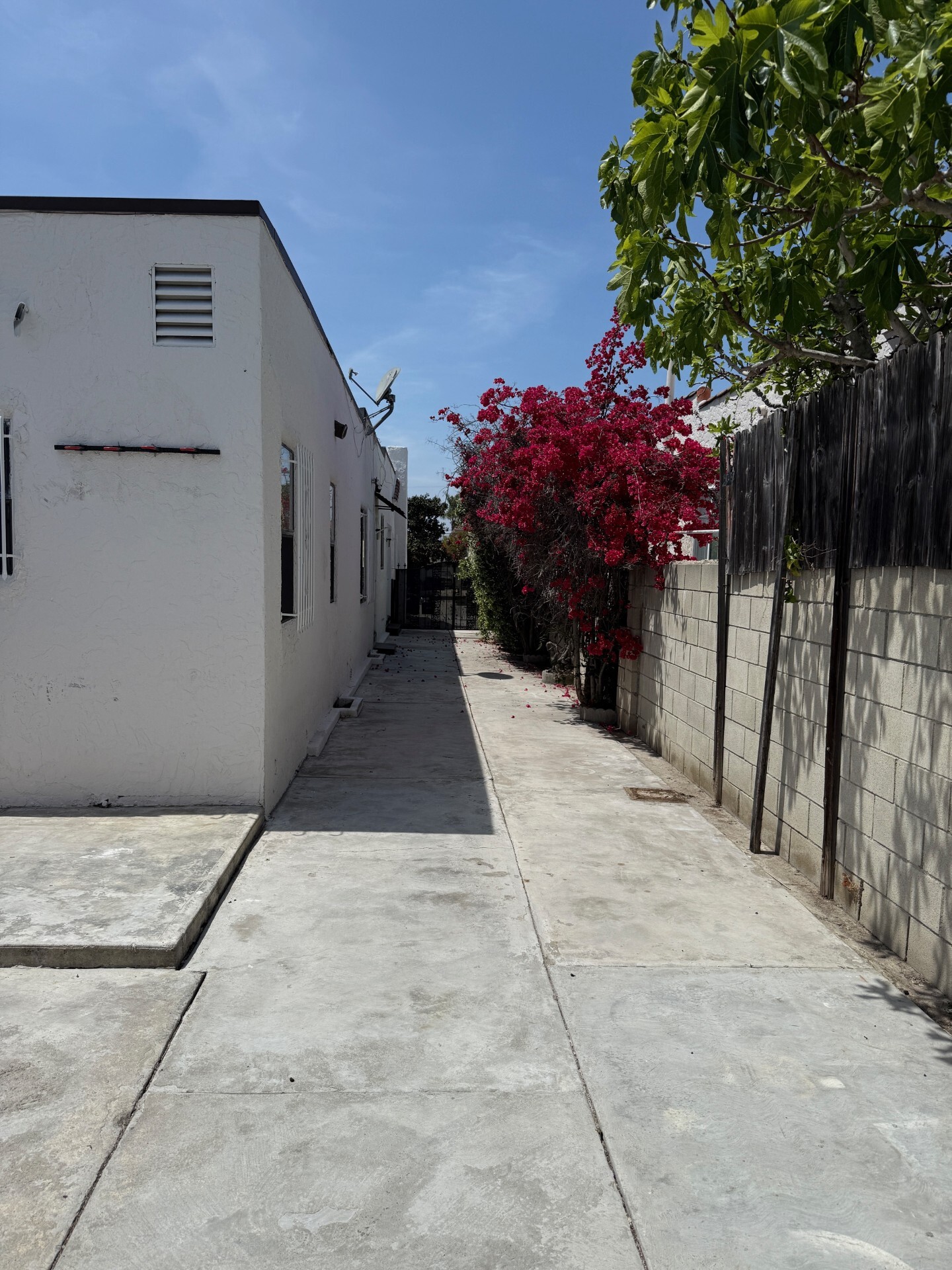Building Photo - 446 N Alta Vista Blvd